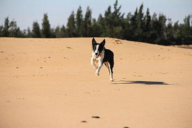 手绘动作游戏《幻想新国度：全扇飞2》上市宣传片